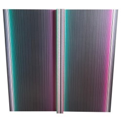 dario-perez-flores-chromatique-278-front