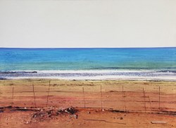 vasquez-brito-virar-azul-nueva